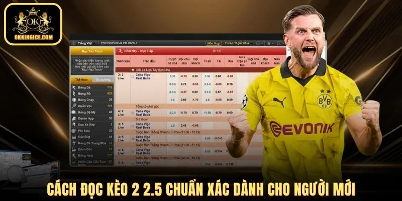 Cách đọc kèo 2 2.5 chuẩn xác dành cho người mới