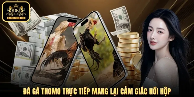 Đá gà Thomo trực tiếp mang lại cảm giác hồi hộp