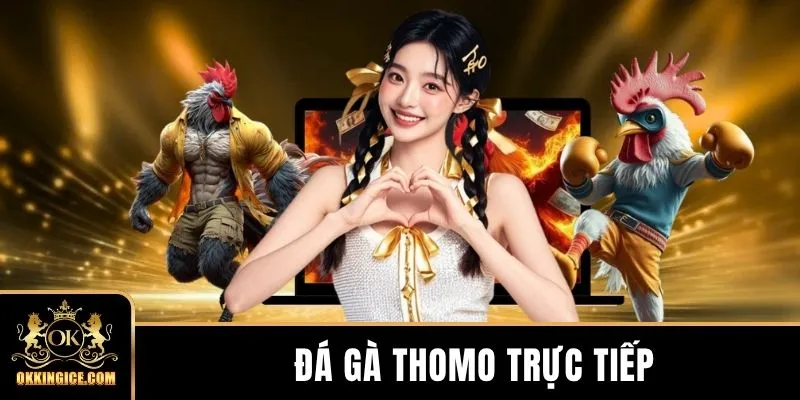 Đá Gà Thomo Trực Tiếp - 5 Quy Định Chính Tại Sới Đấu