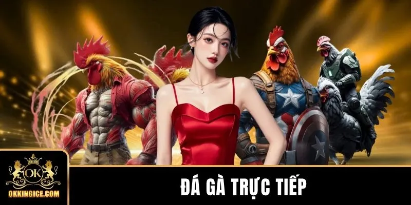 Đá Gà Trực Tiếp - 5 Quy Định Cần Nắm Khi Theo Dõi Đặt Cược