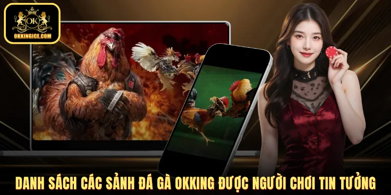 Danh sách các sảnh đá gà OKKING được người chơi tin tưởng