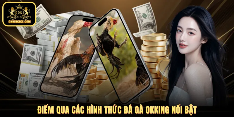 Điểm qua các hình thức đá gà OKKING nổi bật