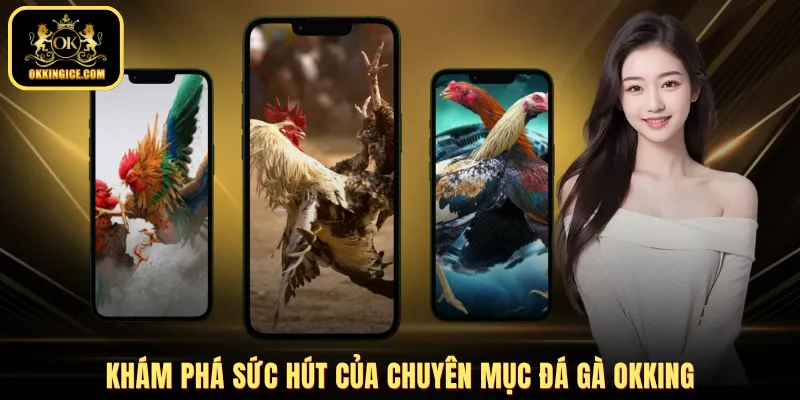 Khám phá sức hút của chuyên mục đá gà OKKING