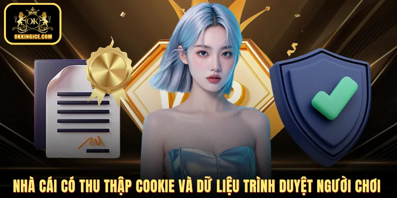 Nhà cái có thu thập cookie và dữ liệu trình duyệt người chơi