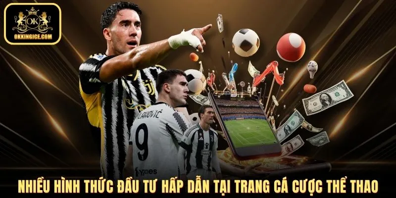 Nhiều hình thức đầu tư hấp dẫn tại trang cá cược thể thao