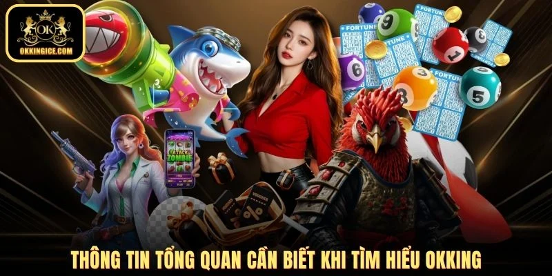 Thông tin tổng quan cần biết khi tìm hiểu OKKING