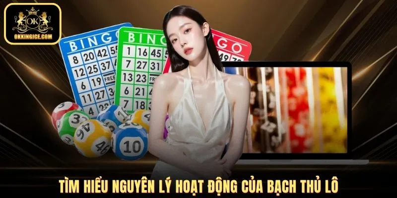 Tìm hiểu nguyên lý hoạt động của bạch thủ lô