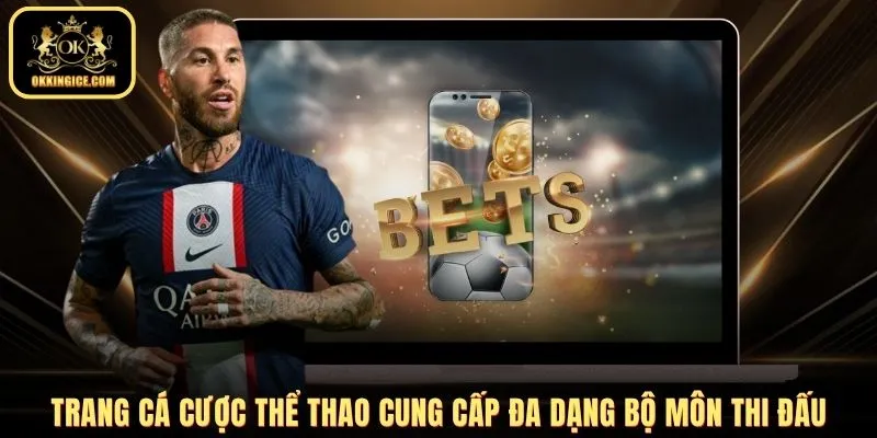 Trang cá cược thể thao cung cấp đa dạng bộ môn thi đấu