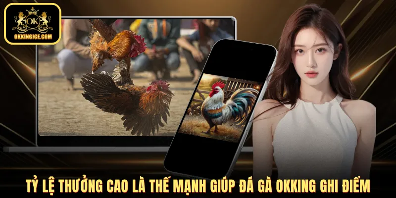Tỷ lệ thưởng cao là thế mạnh giúp đá gà OKKING ghi điểm